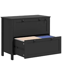 2 Drawer File Cabinet with Lock, Lateral Filing Cabinet with Keys and Adjustable Hanging Bar for Letter, A4 and Legal Size, File Cabinet for Home Offi
