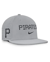 Nike Men's Gray Pittsburgh Pirates True Performance Fitted Hat