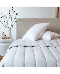 2 Pack Firm Down Alternative Bed Pillow