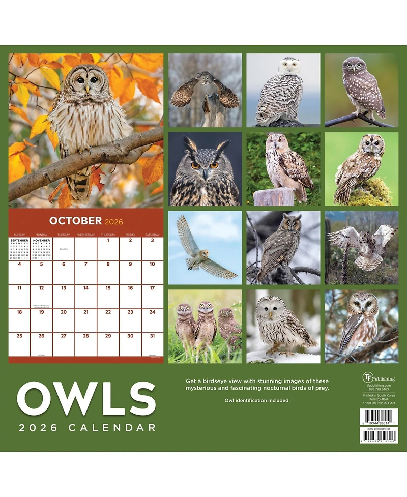 2026 Owls Wall Calendar