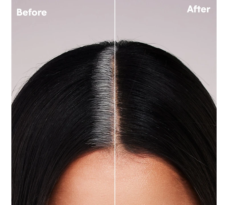 Root Touch-Up Kit for Resistant Grays