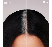 Root Touch-Up Kit for Resistant Grays