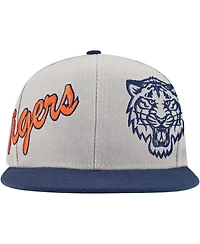Mitchell & Ness Men's Gray Detroit Tigers Knock Out Panel Snapback Hat