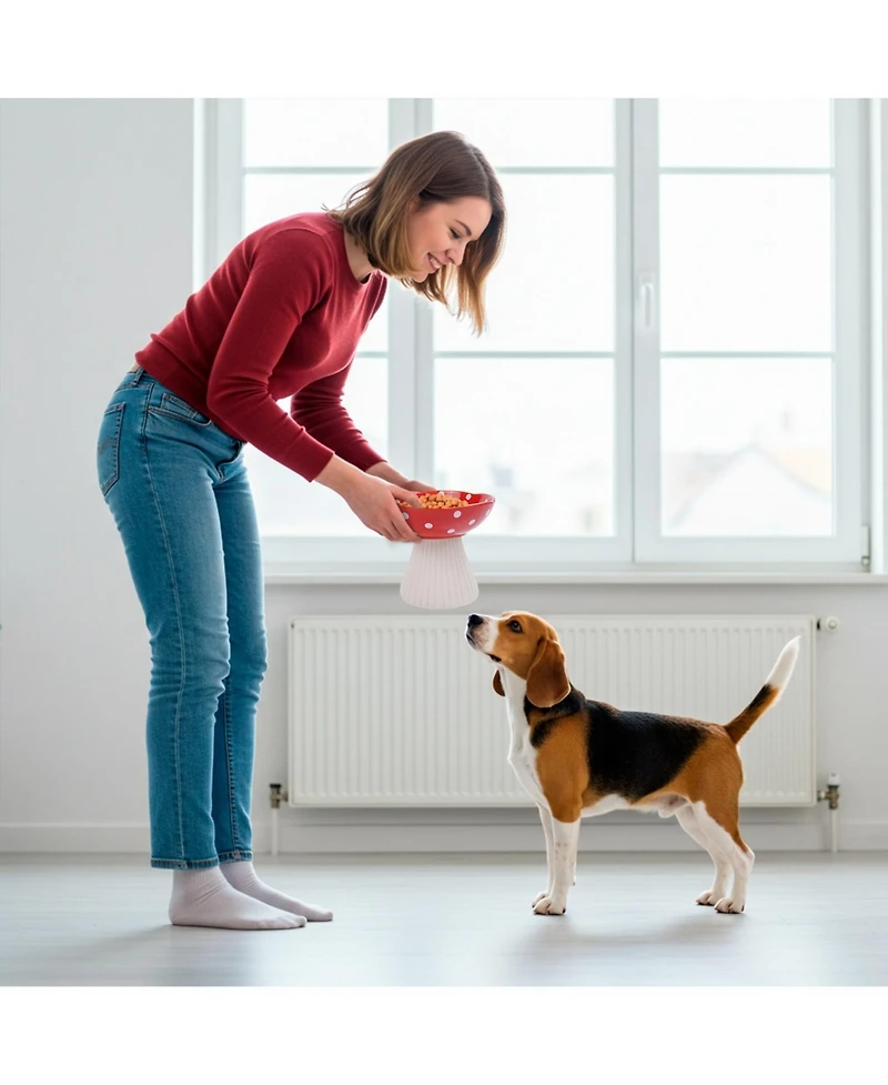P.t. Supply Co. Mushroom Shaped Stoneware Elevated Pet Bowl, Raised Ceramic Food & Water Dish for Dogs and Cats