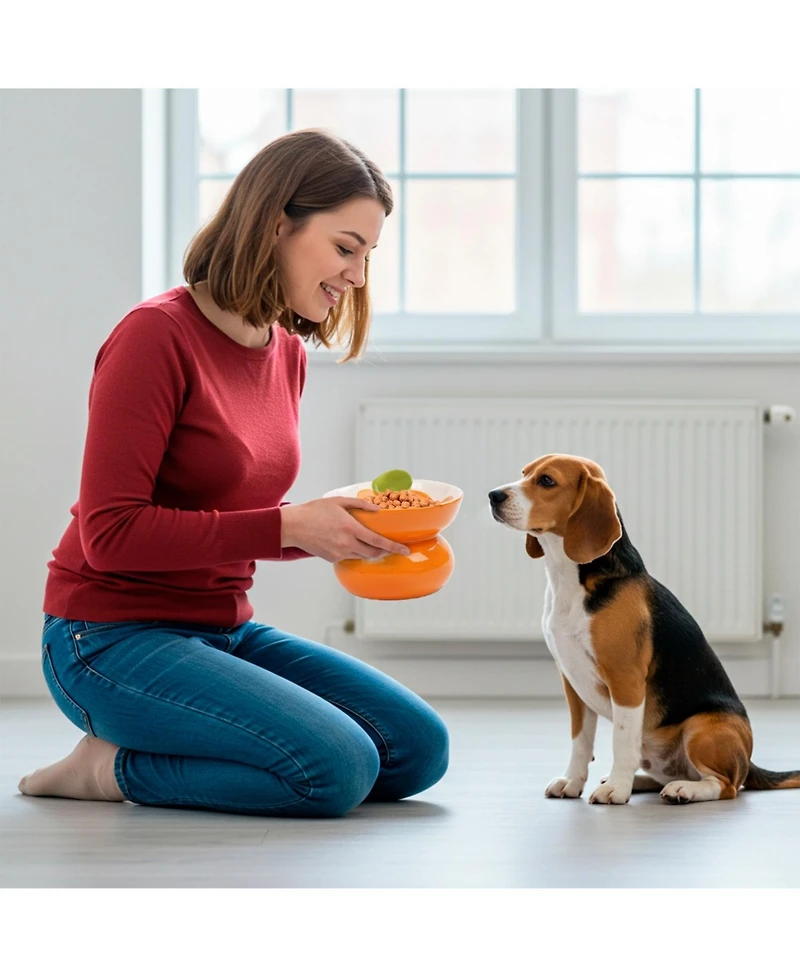 P.t. Supply Co. Orange Shaped Stoneware Elevated Pet Bowl, Raised Ceramic Food & Water Dish for Dogs and Cats