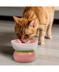 P.t. Supply Co. Strawberry Shaped Stoneware Elevated Pet Bowl, Raised Ceramic Food & Water Dish for Dogs and Cats