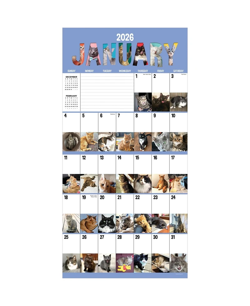 2026 Cat-a-Day Wall Calendar