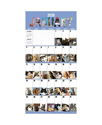 2026 Cat-a-Day Wall Calendar