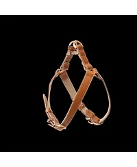 Kandog Roma Harness