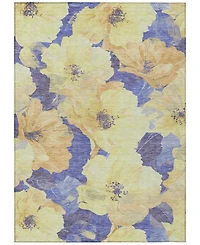 Addison Chantille Machine Washable ACN1548 8'x10' Area Rug
