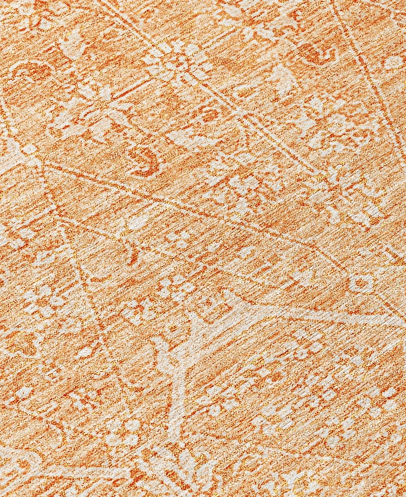 Addison Chantille ACN1224 1'8"x2'6" Area Rug