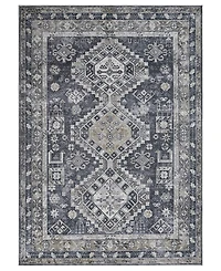 Amer Rugs Alaska Machine Washable ALA2 9'2'' x 11'9'' Area Rug