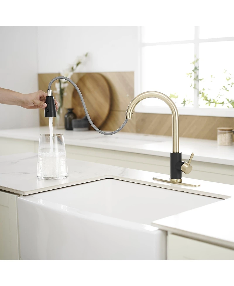 Greenspring Single-Handle Pull-Out Sprayer Kitchen Faucet with Supply Lines in Matte Black and Brushed Nickel