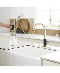 Greenspring Single-Handle Pull-Out Sprayer Kitchen Faucet with Supply Lines in Matte Black and Brushed Nickel