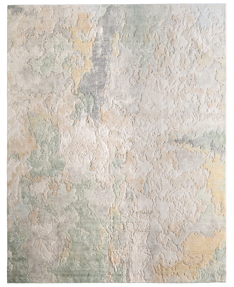 Feizy Jaxson 39SAF 2'x3' Area Rug