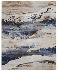 Feizy Sonora 39NWF 7'10"x10'3" Area Rug