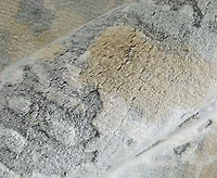 Feizy Braden 8A51F 8'x10' Area Rug