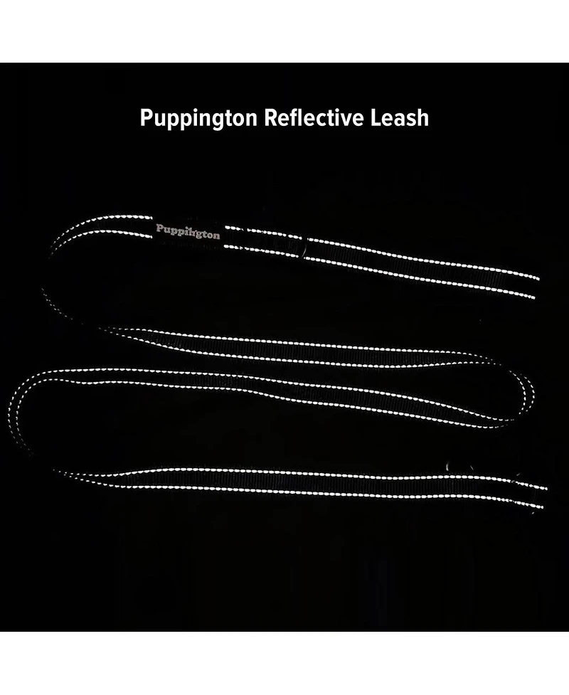 Puppington Reflective Leash