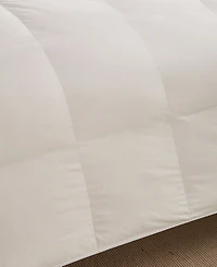 Nikki Chu 250-Thread Count Down Comforter, King - Soft Clay