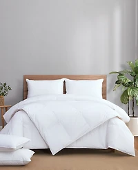Avocado 100% Cotton Cover Down Pillow, Standard