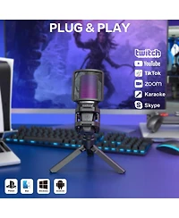 ZealSound Bkd-11 Microphone and D65p Pop Filter