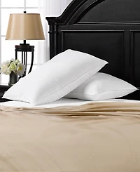 Ella Jayne Signature Memory Fiber 2-Pack Pillow