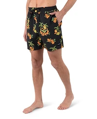 Hurley Men's Cannonball Volley 17 Boardshorts
