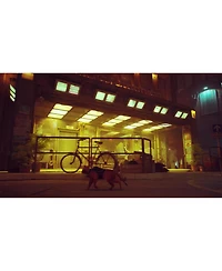 Skybound Stray for Nintendo Switch