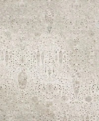 Oriental Weavers Avalon Ava01 Rug Collection