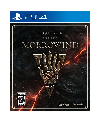 PS4 Elder Scrolls Morrow