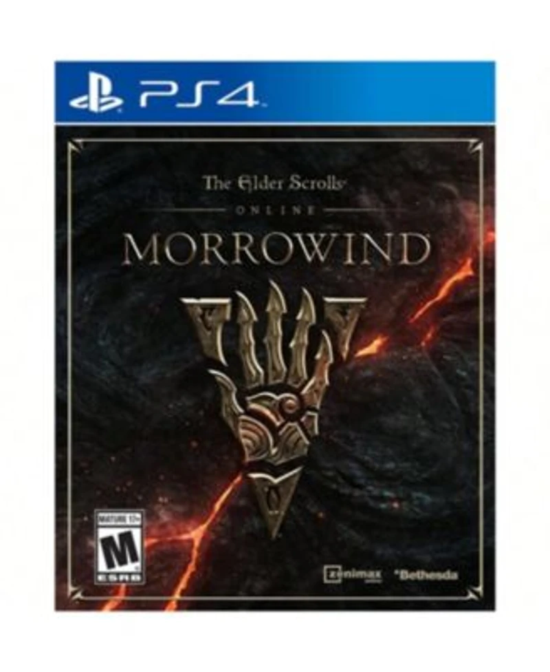 Ps4 Elder Scrolls Morrow Ps 4 For Playstation 4