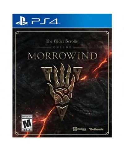 Ps4 Elder Scrolls Morrow Ps 4 For Playstation 4
