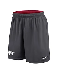 Nike Men's Cardinal/Gray Arkansas Razorbacks 2025 Sideline Reversible Performance Shorts