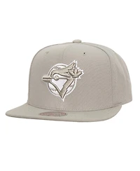 Mitchell & Ness Men's Gray Toronto Blue Jays Snapback Hat