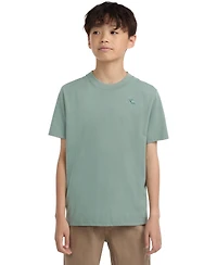 abercrombie kids Boys Essential T-Shirt