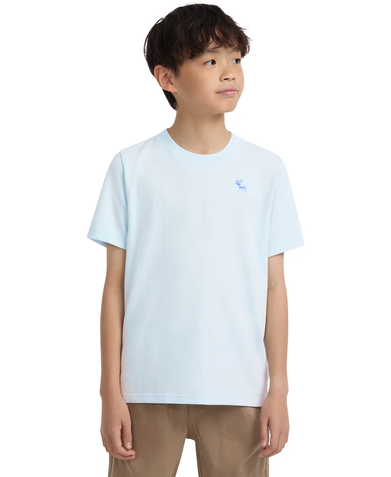 abercrombie kids Boys Essential T-Shirt
