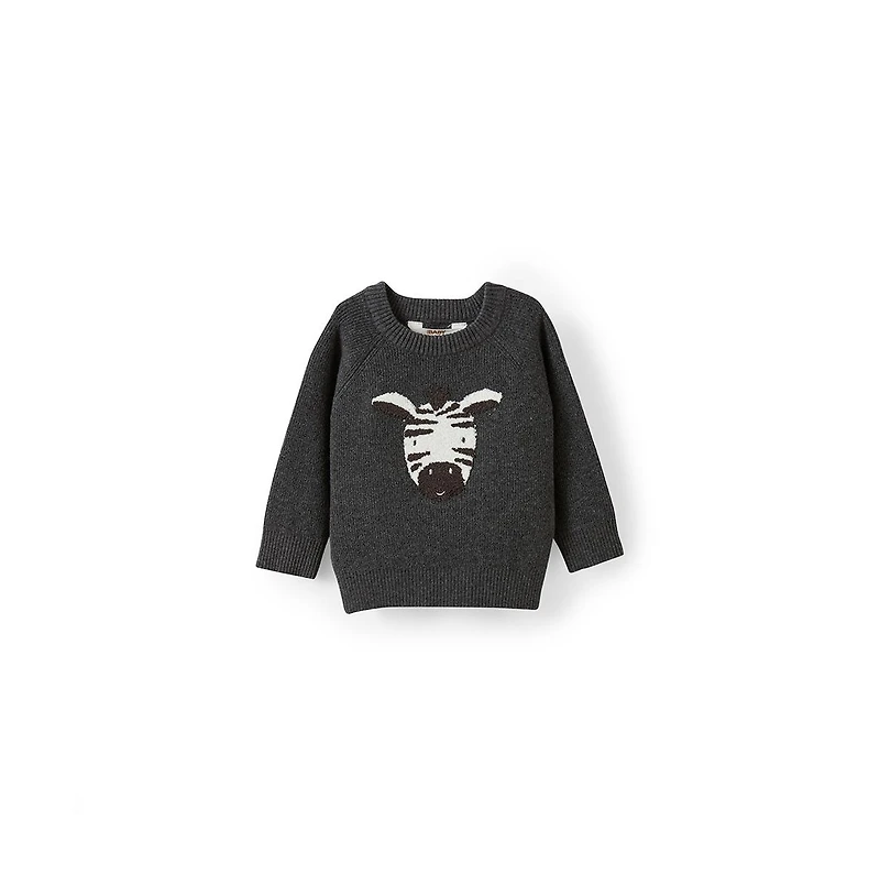 Cotton On Baby Boys Raglan Knit Sweater
