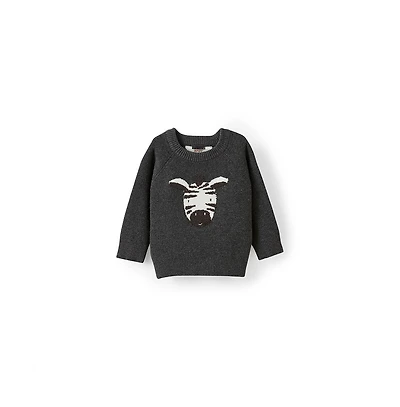 Cotton On Baby Boys Raglan Knit Sweater