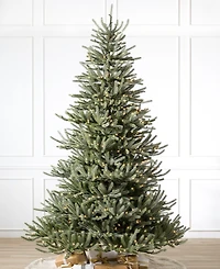 Balsam Hill 6 ft Pre-Lit Sanibel Spruce Tree