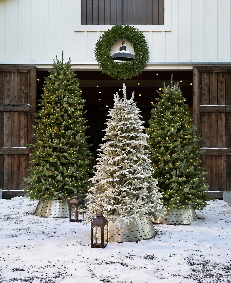 Balsam Hill ft Pre-Lit Fraser Fir Narrow Tree