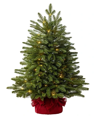 Balsam Hill 2.5 ft Fraser Fir Pre-Lit Tabletop Tree