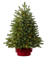 Balsam Hill 2.5 ft Fraser Fir Pre-Lit Tabletop Tree