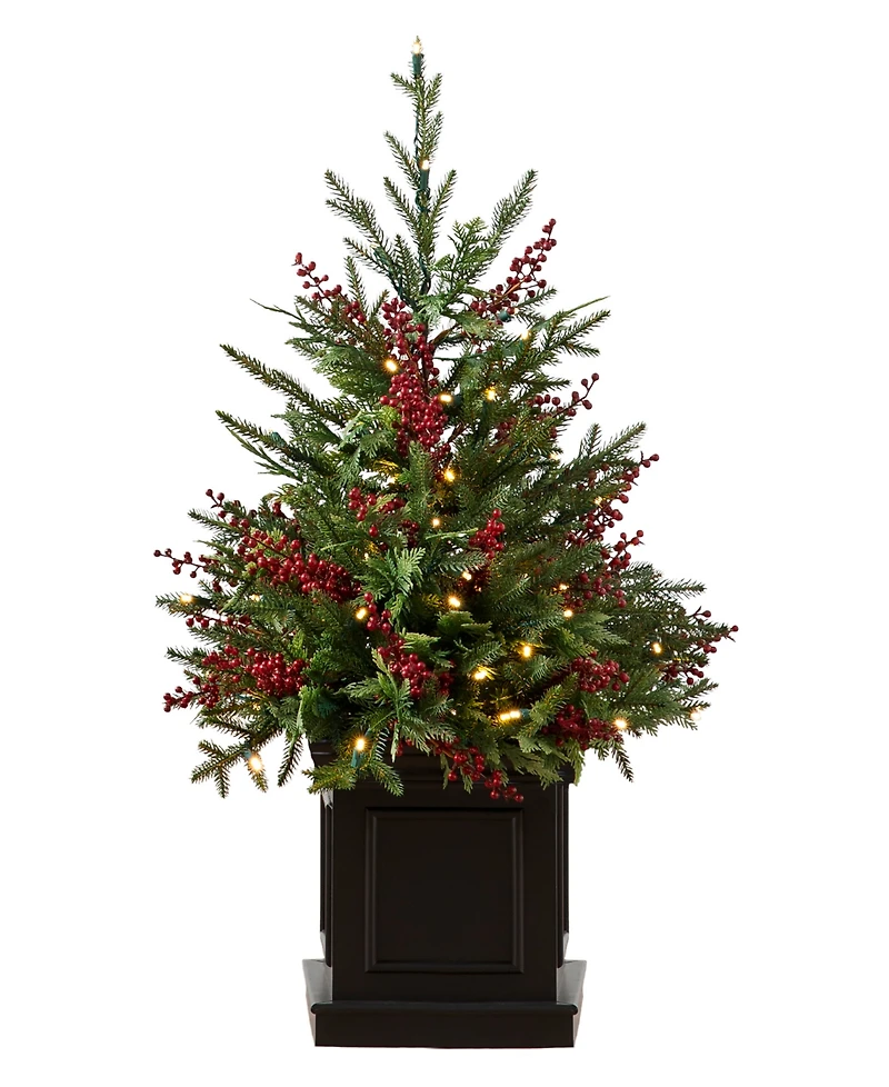 Balsam Hill 3 ft Outdoor Berry Pre-Lit Potted Tree