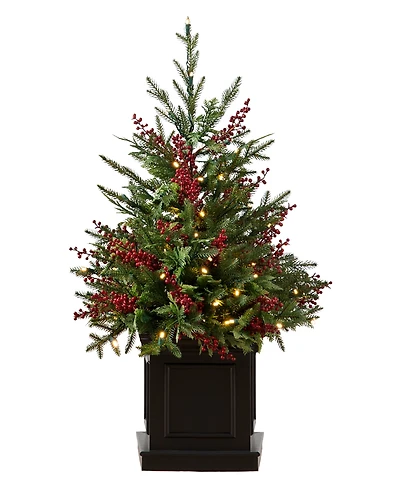 Balsam Hill 3 ft Outdoor Berry Pre-Lit Potted Tree