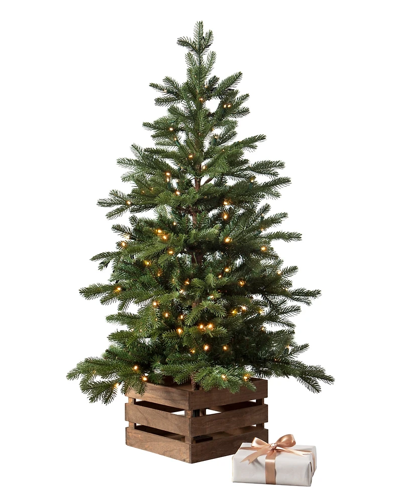 Balsam Hill 3 ft Country Farm Pre-Lit Fir Tree