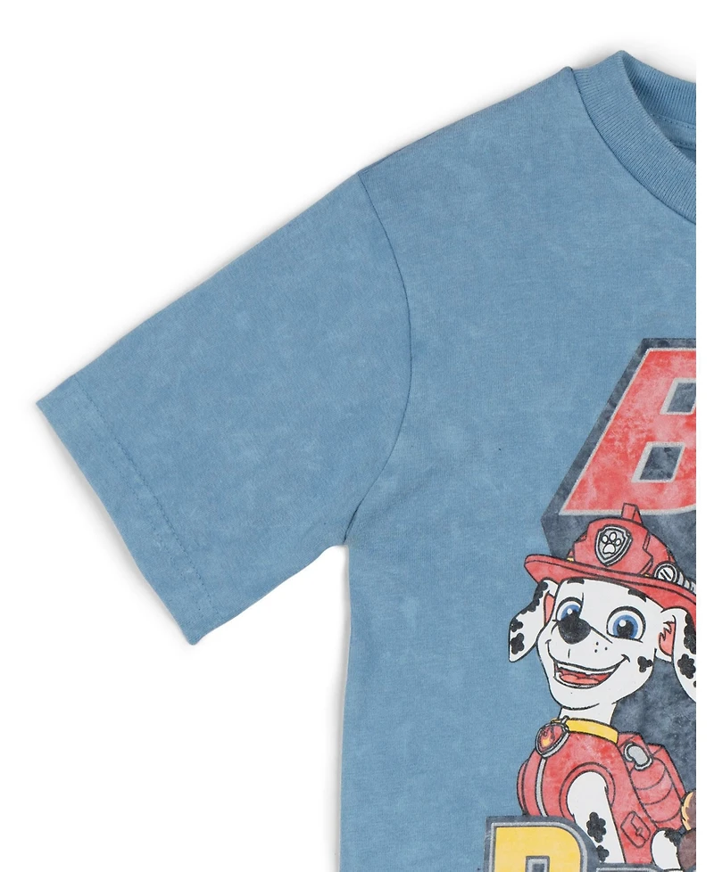 Paw Patrol Toddler Boys T-Shirt