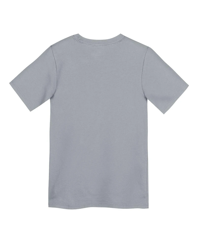 Nike Preschool Gray Detroit Lions Icon Legend Performance T-Shirt