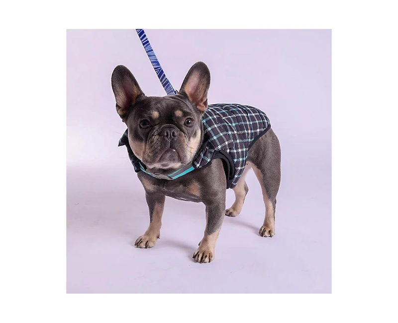 K9 Wear Starter Kit