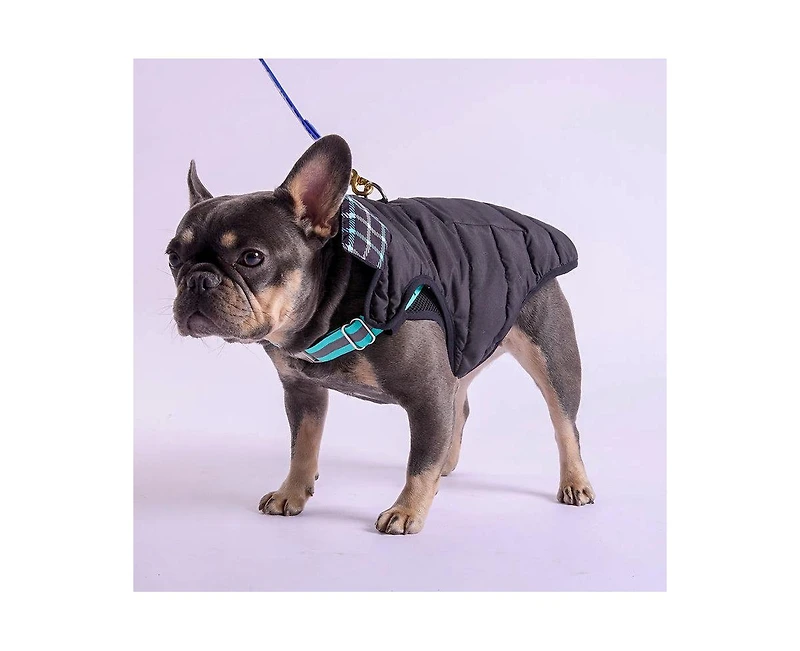K9 Wear Starter Kit