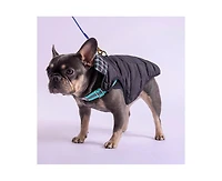 K9 Wear Starter Kit